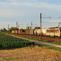 La BB26181 à Nuits-St Georges.