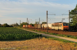 La BB26181 à Nuits-St Georges.