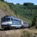 67601_les-sauvages.jpg