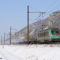 36344_torcieu.jpg