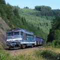 67363_les-sauvages.jpg