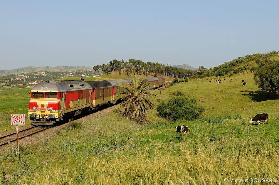 DF103 at Arbaoua.