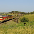 La DF103 à Arbaoua.