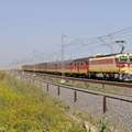 24-E1255-sabaa-aioun.jpg