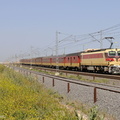 E1255 at Sabaa Aioun.