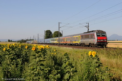 BB26048 at Thuret.