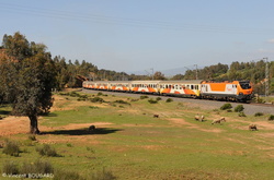 E1412 at Arbaoua.