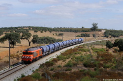 1902 near Azinheira Dos Barros.