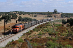 1913 near Azinheira Dos Barros.