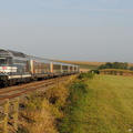 67513_minversheim.jpg