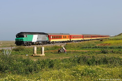 DF119 near Asilah.