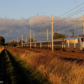 La BB26006 près de Morigny-Champigny.