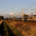 La BB7397 près de Morigny-Champigny.