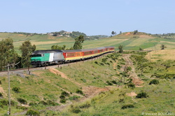 DF119 near Arbaoua.