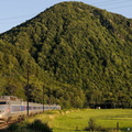 Le TGV Sud-Est 11 près de Torcieu.