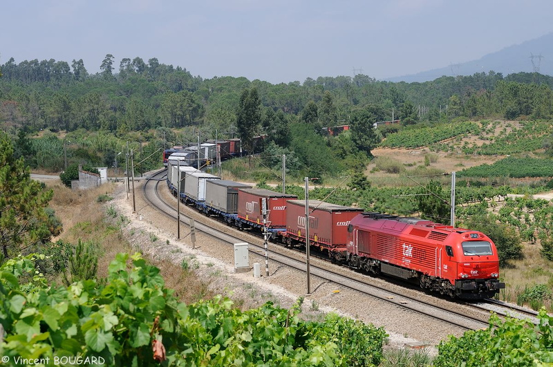 La 6005 près de Botão.