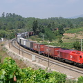 6005 near Botão.
