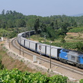 335-001-4 near Botão.