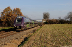 B81561 at Les Chères.