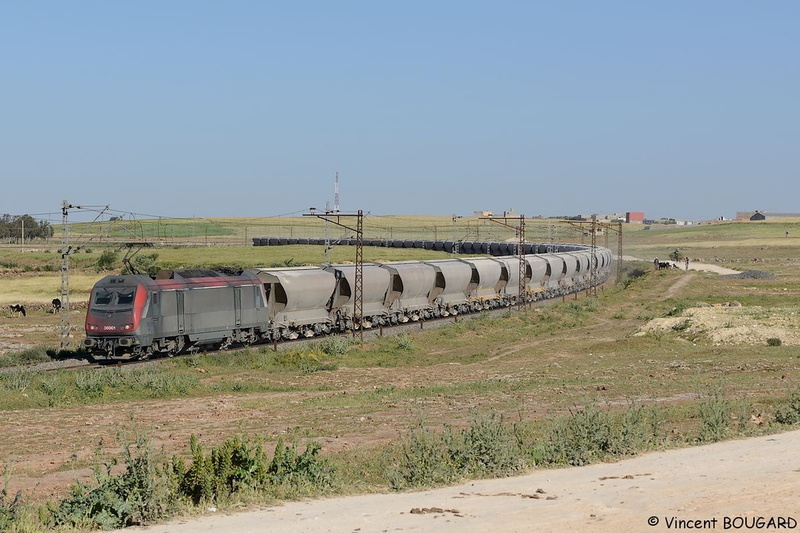 La BB36001 près de Sidi Hajjaj.