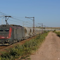 La BB36001 près de Moualin el Oued.