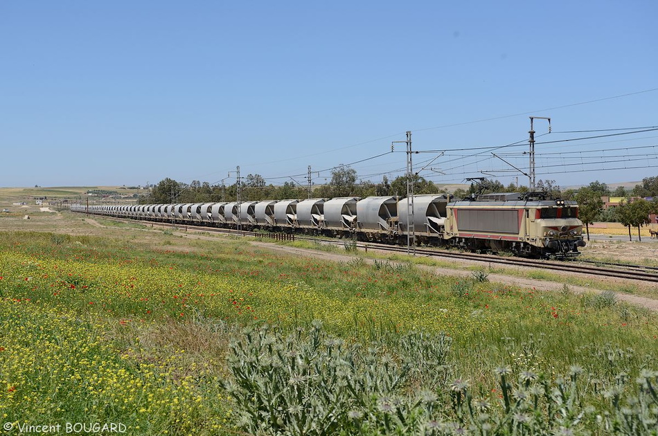 La E1351 près de Sidi Hajjaj.