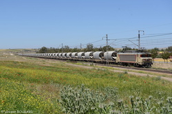 E1351 near Sidi Hajjaj.