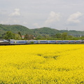 Le TGV POS 4402 à Beynost.