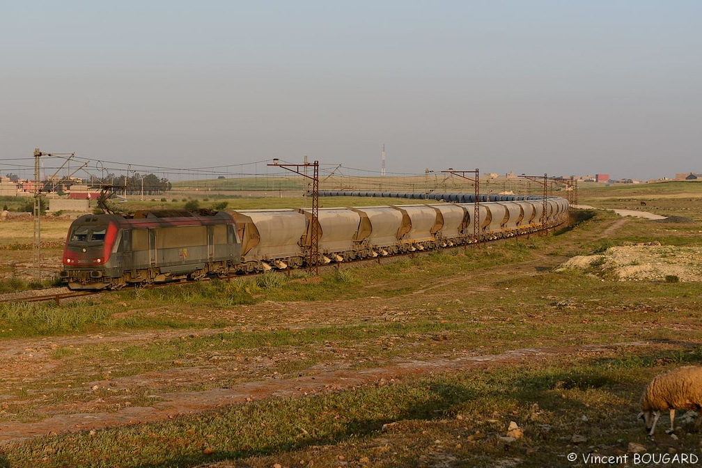 La BB36008 près de Sidi Hajjaj.