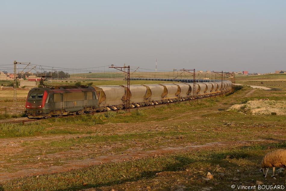 La BB 36008 près de Sidi Hajjaj avec un train de fret de phosphate ONCF Khouribga-Casablanca. 37_36008_sidi-hajjaj&Maroc_Fret&Khouribga-Casablanca_BB36000_20130426.jpg
