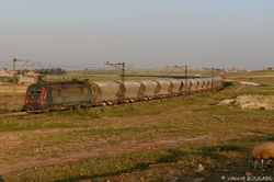 BB36008 near Sidi Hajjaj.