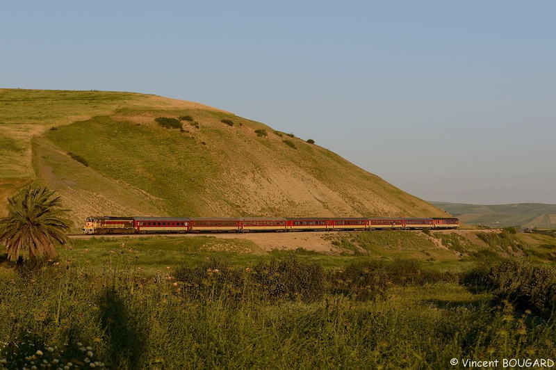 La DH371 près de Sidi-Harazem.