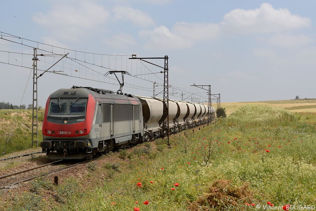 La BB36004 près de Ouled Bou Salham.