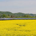 Le TGV POS 4408 à Beynost.