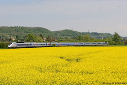 Le TGV POS 4408 à Beynost.