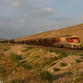 DH355 at Oued Metlili.