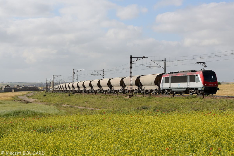 La BB36005 près de Sidi Hajjaj.