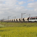 La BB36005 près de Sidi Hajjaj.