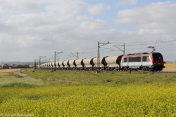 BB36005 near Sidi Hajjaj.