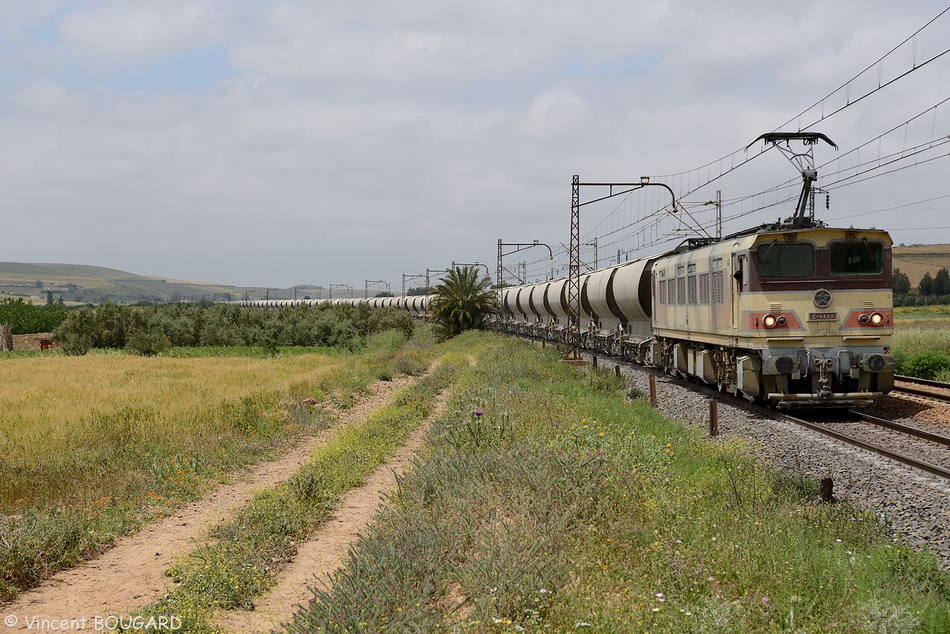 La E 1111 près de Moualin el Oued avec un train de fret de phosphate ONCF Casablanca-Khouribga. 35_1111_moualin-el-oued&Maroc_Fret&Casablanca-Khouribga_E1100_20130427.jpg