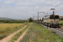 La E1111 près de Moualin el Oued.