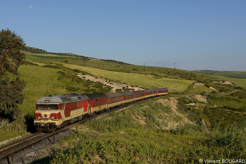 La DF109 près de Sidi-Harazem.