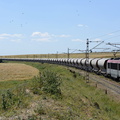 La BB36005 près de Ouled Bou Salham.