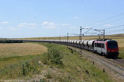 BB36005 near Ouled Bou Salham.