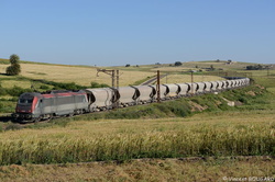 BB36001 near Ras El Aïn.