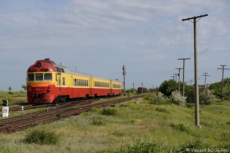 D1-694 near Basarabeasca.