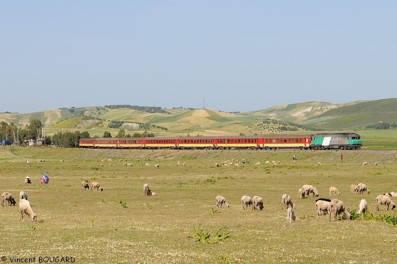 DF117 at Arbaoua.