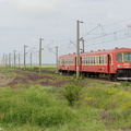 01_0563&4741_boboc&Roumanie_14069&Brasov-Iasi_Class97&EAD&X4630_20130608.jpg