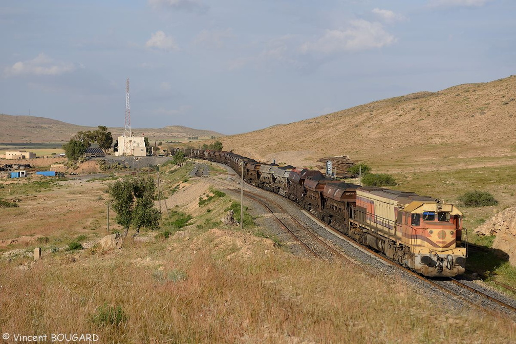 La DH355 à Oued Metlili.