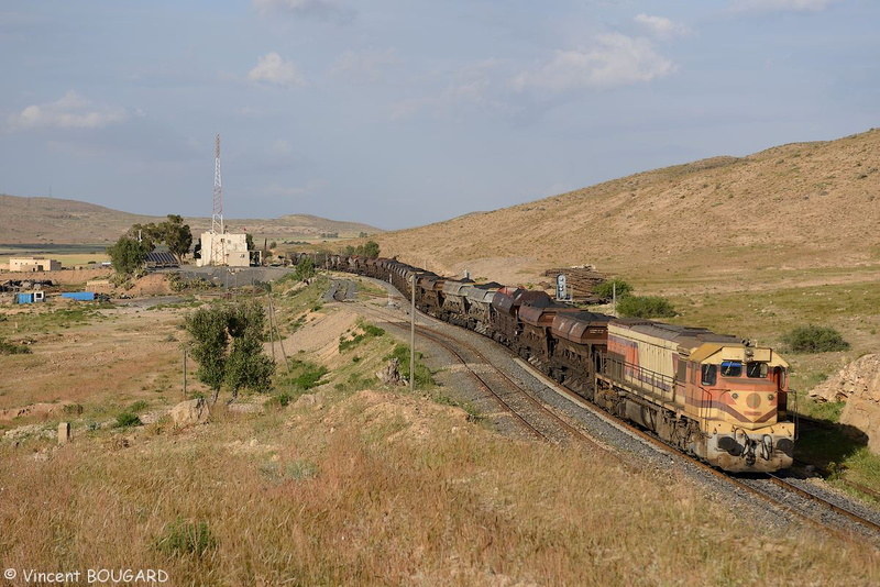 La DH355 à Oued Metlili.